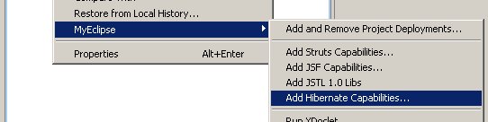 images/c_myeclipse_add-hibernate-libs.jpg
